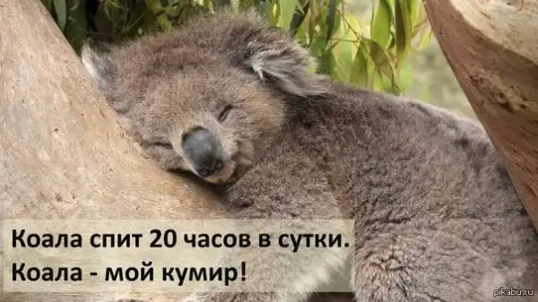 Подборка разных приколов