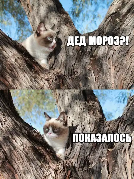 Подборка разных приколов