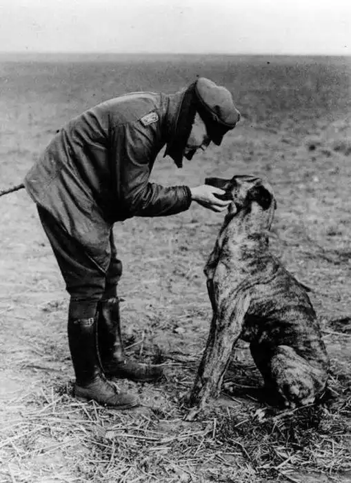 Солдаты и четвероногие друзья Солдаты и четвероногие друзья