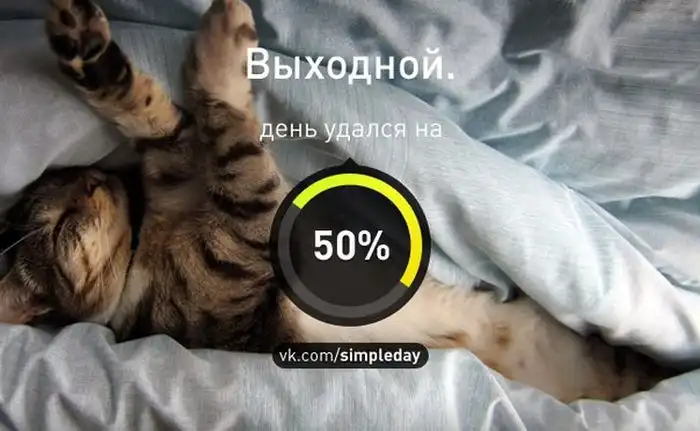 Когда ваш день удался Когда ваш день удался