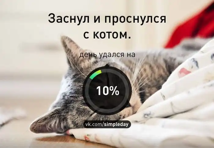 Когда ваш день удался Когда ваш день удался