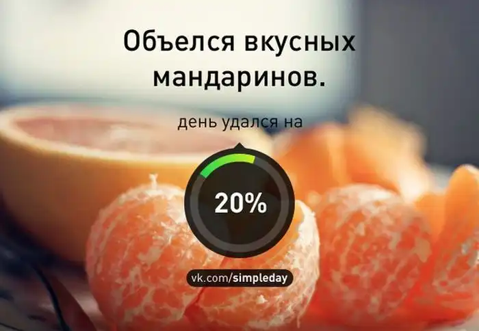 Когда ваш день удался Когда ваш день удался
