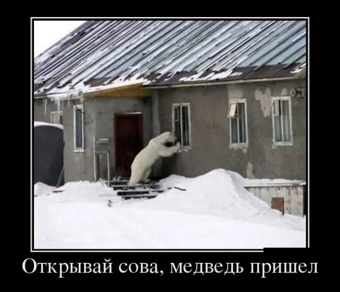 Картинки в черной рамке Картинки в черной рамке