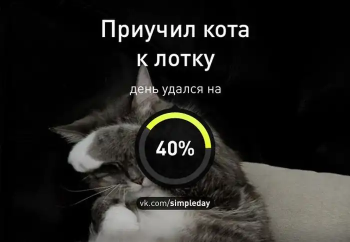 Когда ваш день удался. Часть 2 Когда ваш день удался. Часть 2