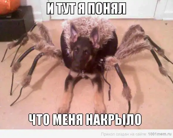 Разнообразная подборка =)