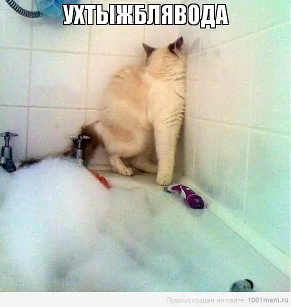 Разнообразная подборка =) Хорошего дня!