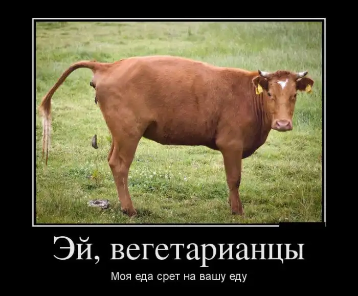 Картинки в черной рамке Картинки в черной рамке