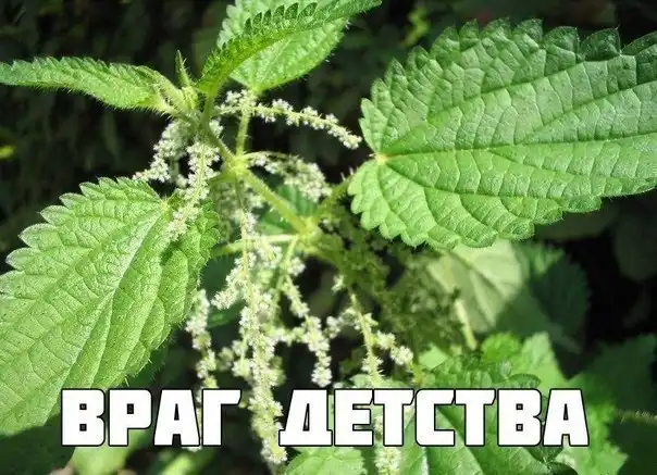 Разнообразная подборка =) На выходные!