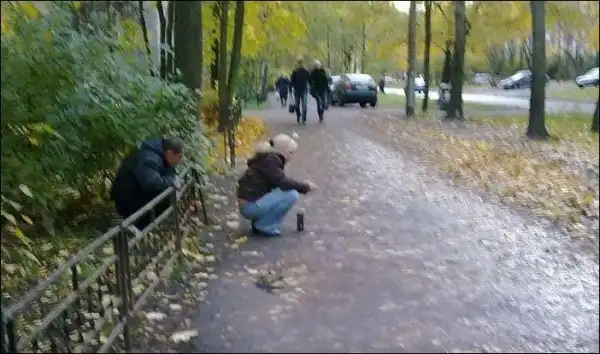 Ассорти картинок