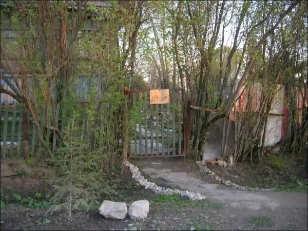 Ассорти картинок