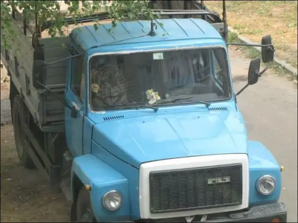 Ассорти картинок