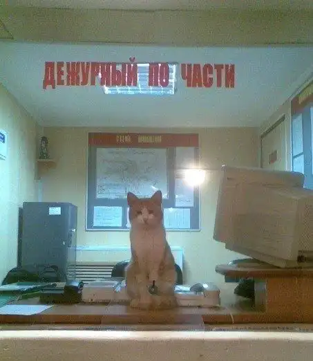 Прикольные картинки абавсём (18.02.13) Прикольные картинки абавсём (18.02.13)