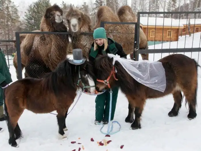 Прикольные картинки абавсём (18.02.13) Прикольные картинки абавсём (18.02.13)