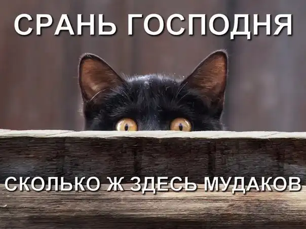 Разнообразная подборка =) Радуемся!