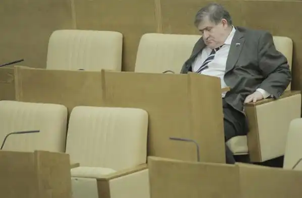 Чем занимаются депутаты в Думе Чем занимаются депутаты в Думе