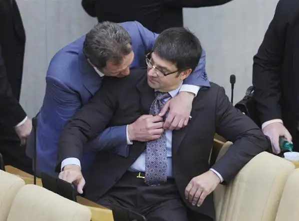 Чем занимаются депутаты в Думе Чем занимаются депутаты в Думе