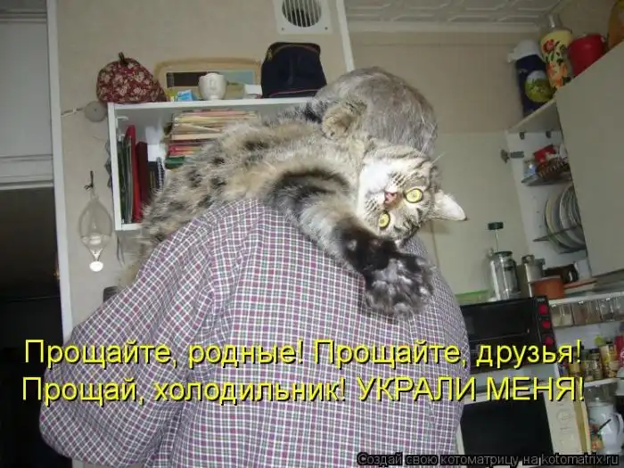 Лучшие котоматрицы недели Лучшие котоматрицы недели