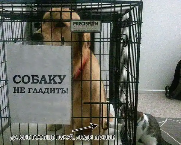 Трешовые картики абавсём:D (22.02.13) Трешовые картики абавсём:D (22.02.13)