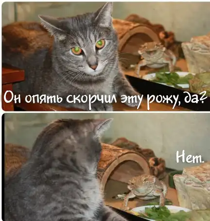Разнообразная подборка =) Улыбаемся!