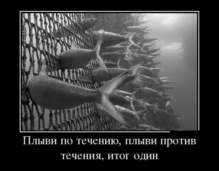 Картинки в черной рамке Картинки в черной рамке