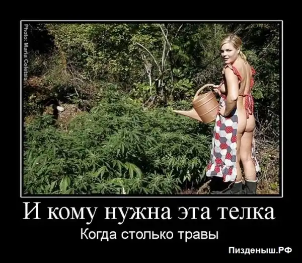 Ню Ню -  Демотиваторы