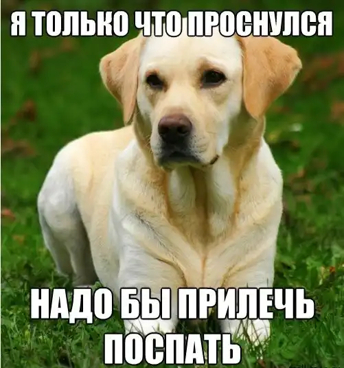 Веселые комиксы Веселые комиксы