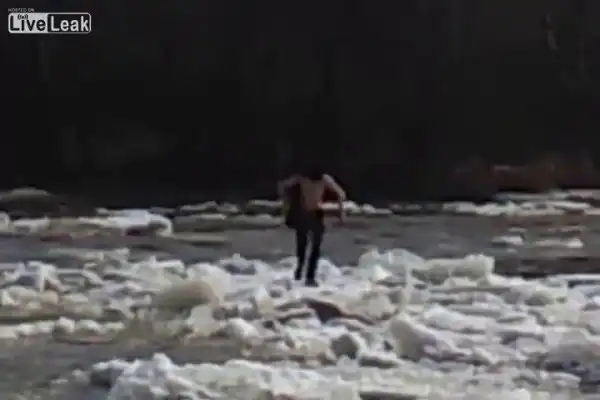 Дрейфующий пингвин