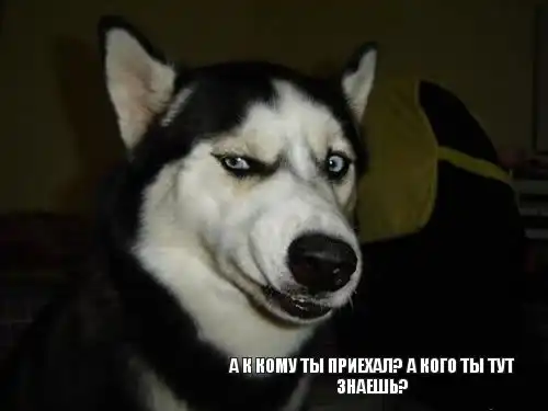 Ассорти картинок