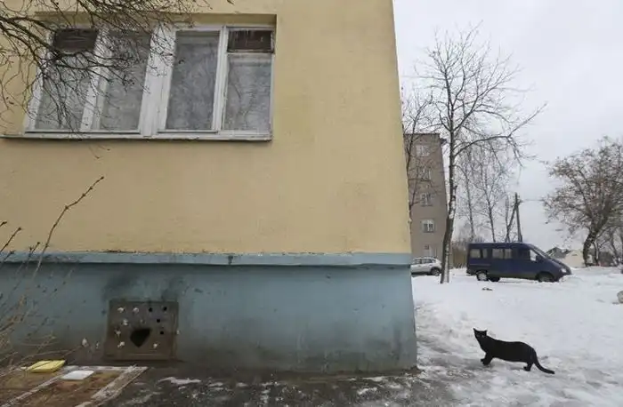 Коммунальная служба Минска хоронит котов заживо Коммунальная служба Минска хоронит котов заживо