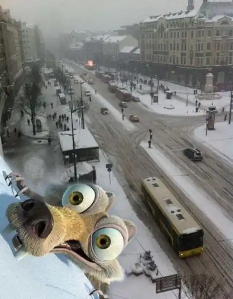 Фотоприколы: два