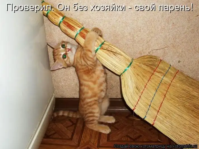 Лучшие котоматрицы недели Лучшие котоматрицы недели