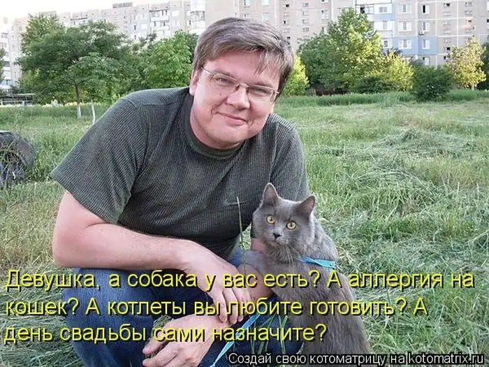 Лучшие котоматрицы недели Лучшие котоматрицы недели