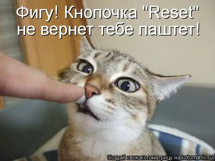Лучшие котоматрицы недели Лучшие котоматрицы недели