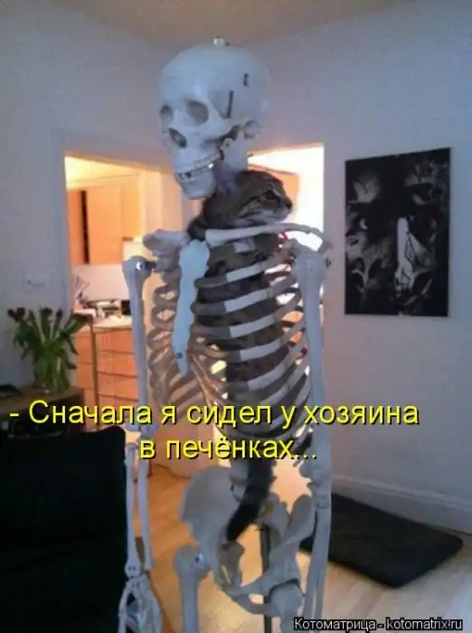 Лучшие котоматрицы недели Лучшие котоматрицы недели