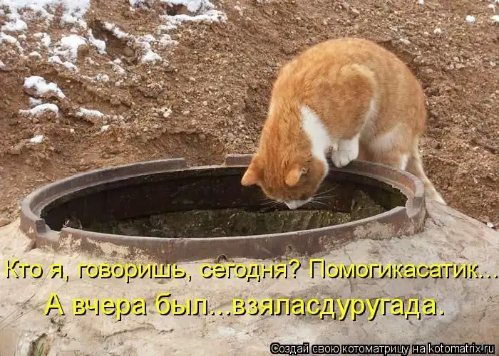 Лучшие котоматрицы недели Лучшие котоматрицы недели