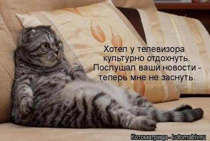 Лучшие котоматрицы недели Лучшие котоматрицы недели