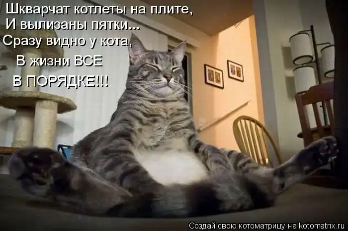 Лучшие котоматрицы недели Лучшие котоматрицы недели