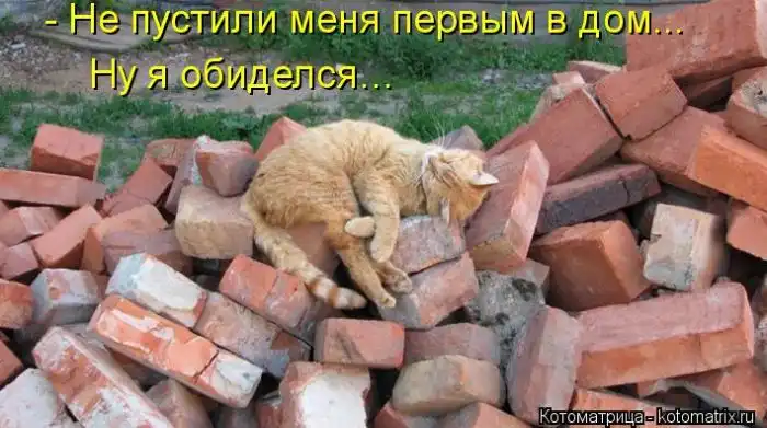 Лучшие котоматрицы недели Лучшие котоматрицы недели