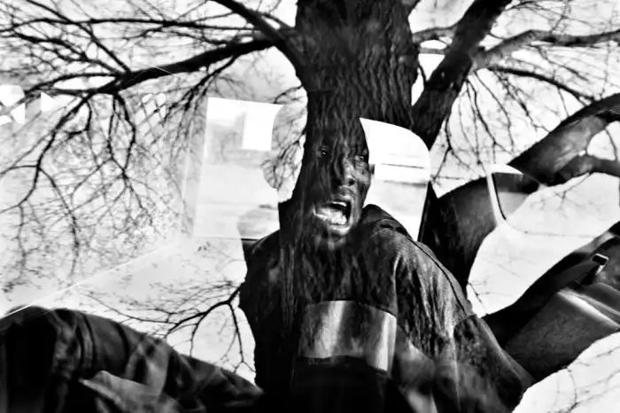 Конкурс 2013. The Sony World Photography Awards Конкурс 2013. The Sony World Photography Awards