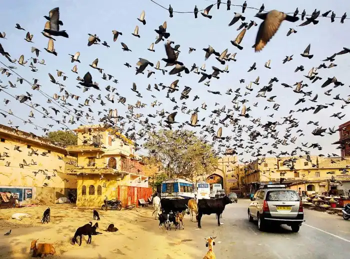 Конкурс 2013. The Sony World Photography Awards Конкурс 2013. The Sony World Photography Awards