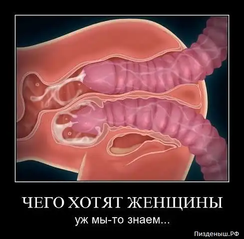 Ню Ню Демотиваторы. Часть - 2