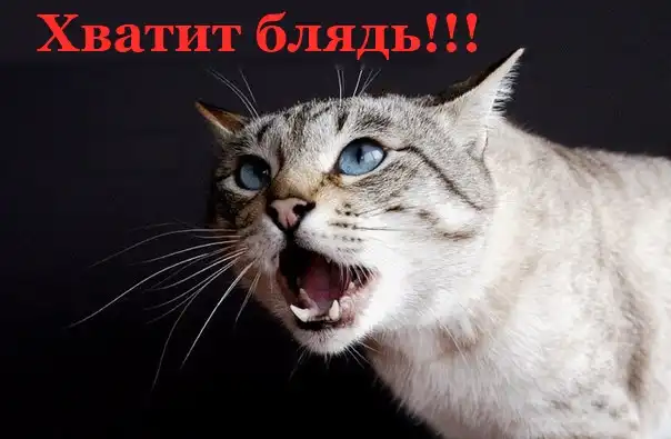 Разнообразная подборка =) ПятницО!