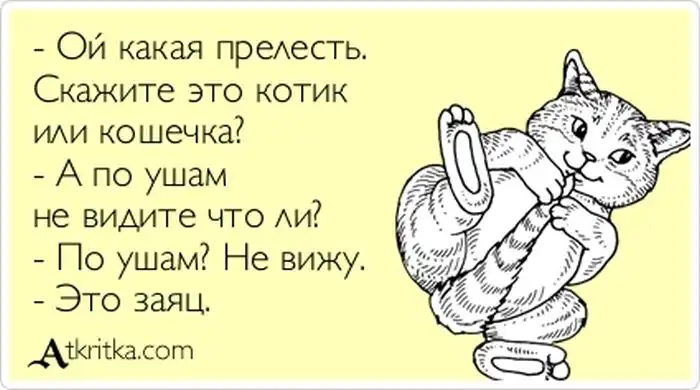 Прикольные "аткрытки". Часть 45 Прикольные "аткрытки". Часть 45