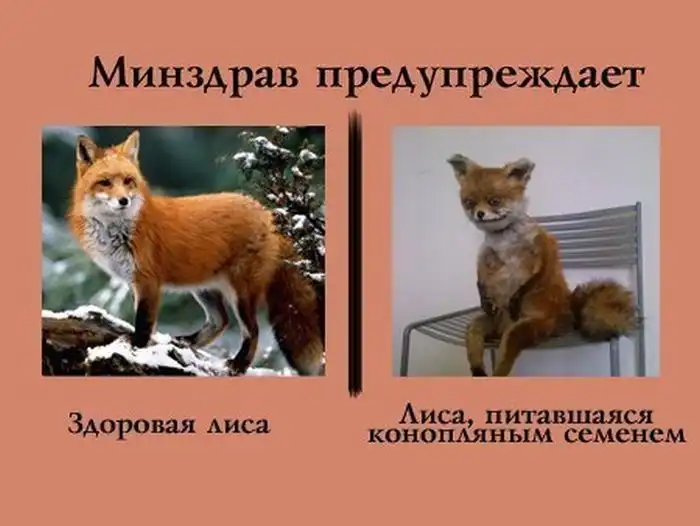 Прикольные картинки абавсём (13.03.13) Прикольные картинки абавсём (13.03.13)