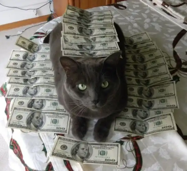 Котики известных гангстеров