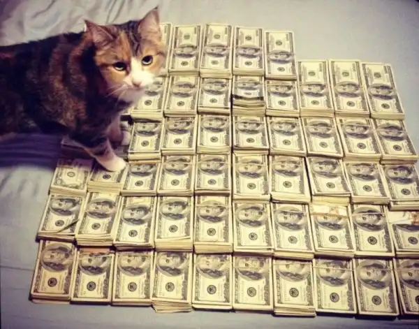 Котики известных гангстеров