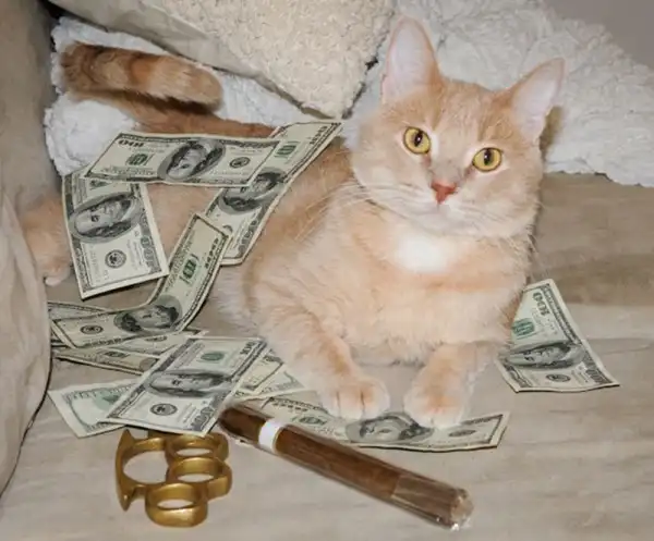 Котики известных гангстеров