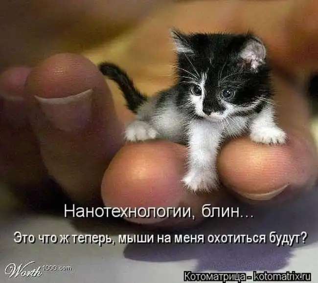 Лучшие котоматрицы недели Лучшие котоматрицы недели