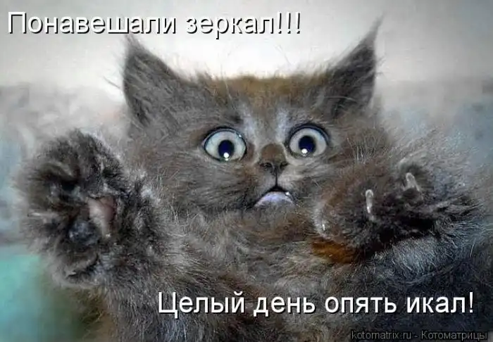 Лучшие котоматрицы недели Лучшие котоматрицы недели