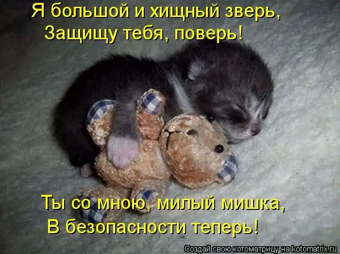 Лучшие котоматрицы недели Лучшие котоматрицы недели